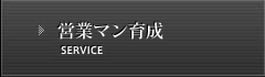 企業の家庭教師