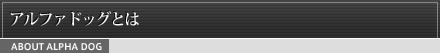 アルファドッグとは