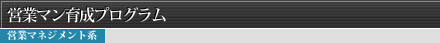 営業コンサルティングプログラム
